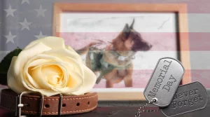 Memorial ideas for pets