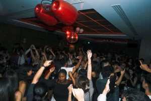 nightlife guide for beginners